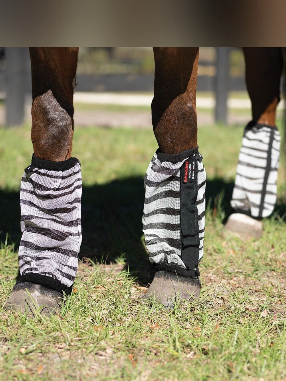 Schneiders Dura-Mesh II Non-Fitted Zebra Fly Boots - Set of 4 - Picture 2 of 5